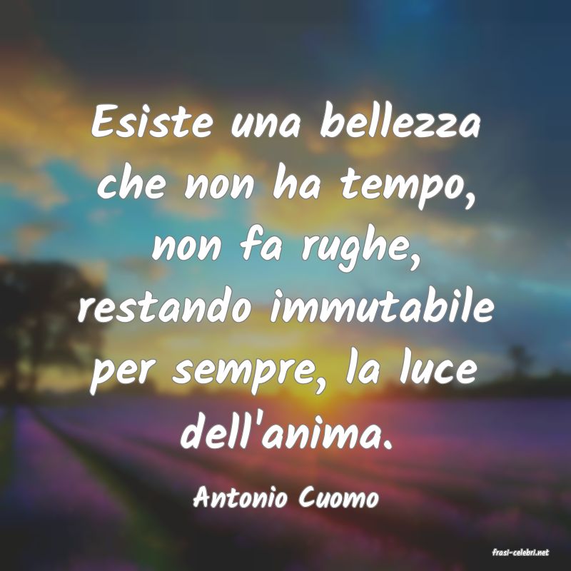 frasi di  Antonio Cuomo
