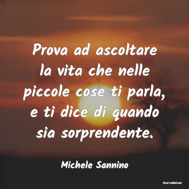 frasi di  Michele Sannino

