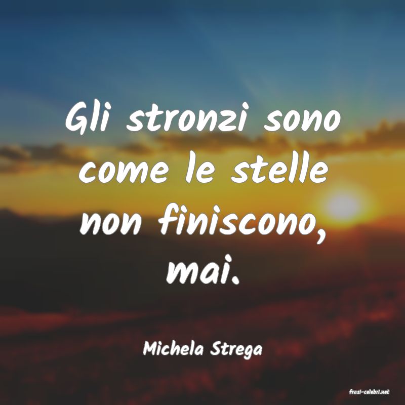 frasi di  Michela Strega

