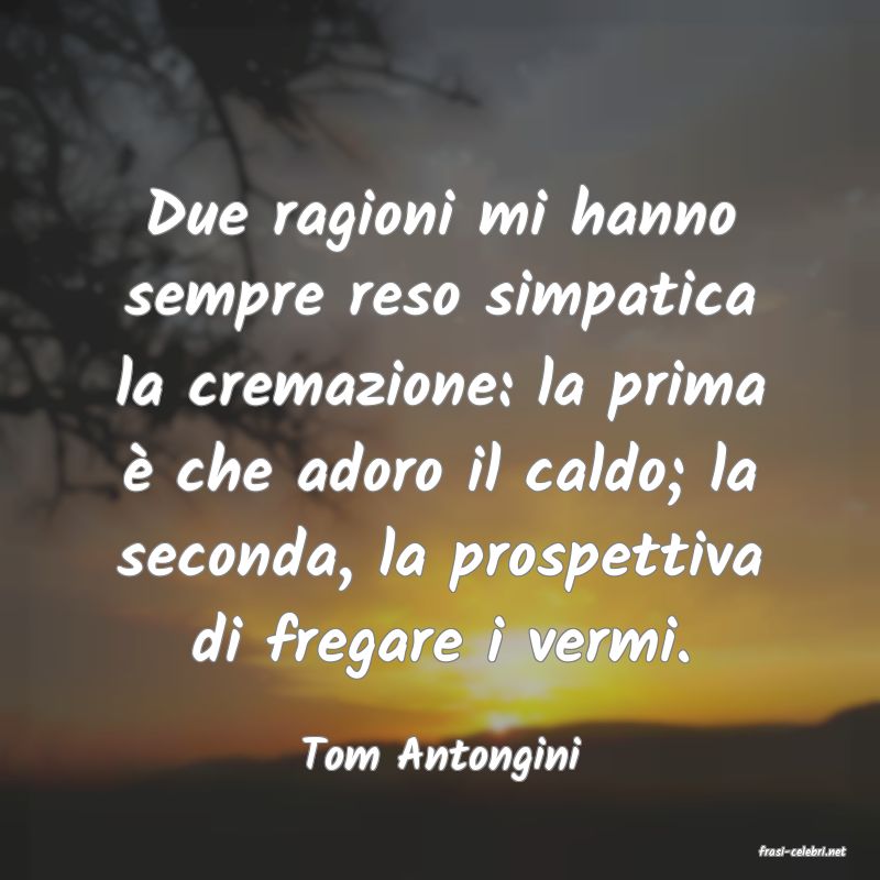 frasi di  Tom Antongini

