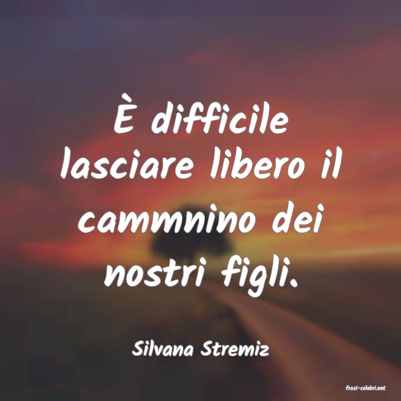 frasi di  Silvana Stremiz
