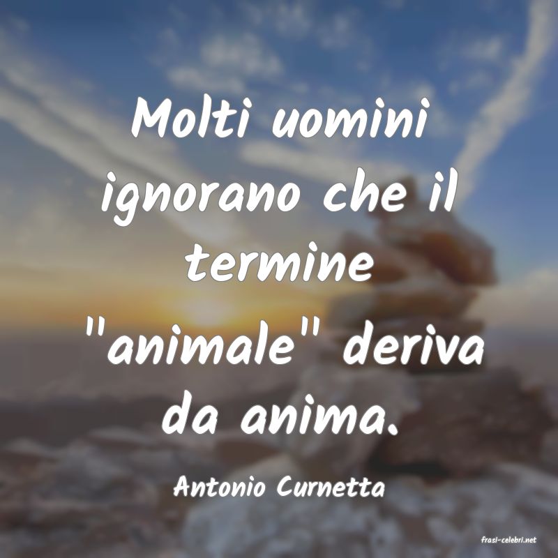 frasi di  Antonio Curnetta
