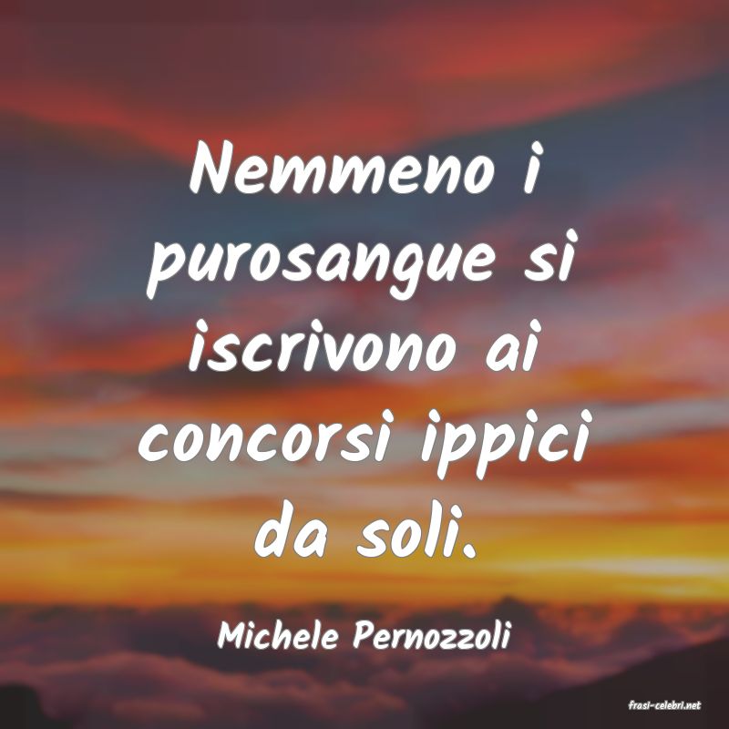 frasi di  Michele Pernozzoli
