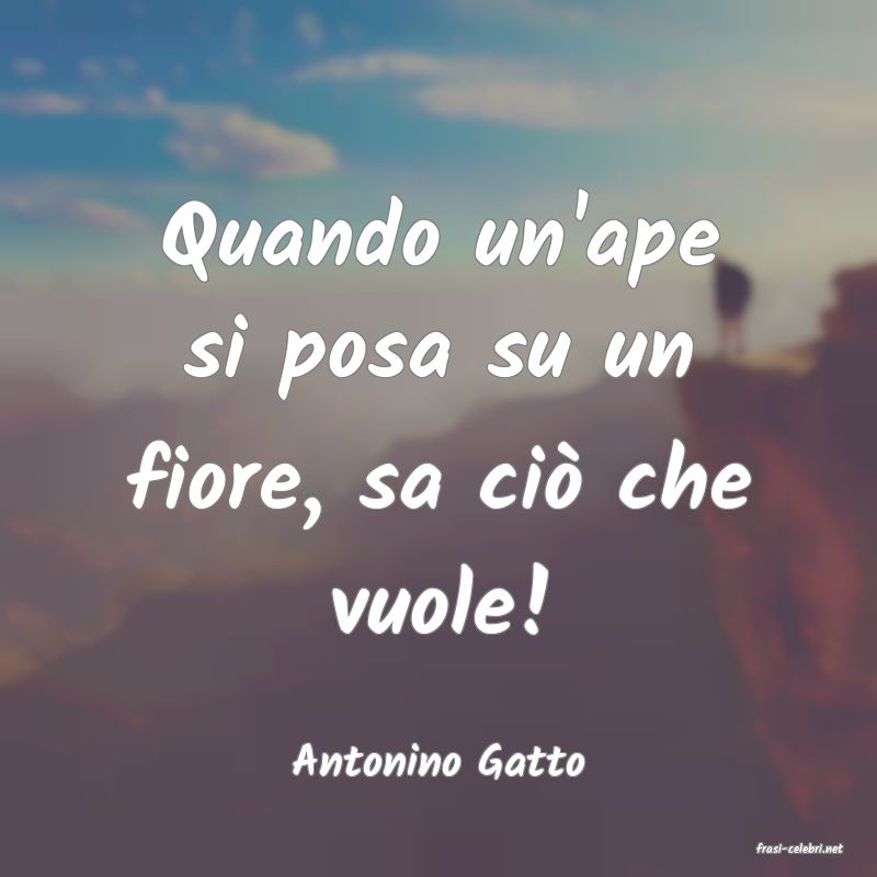 frasi di  Antonino Gatto
