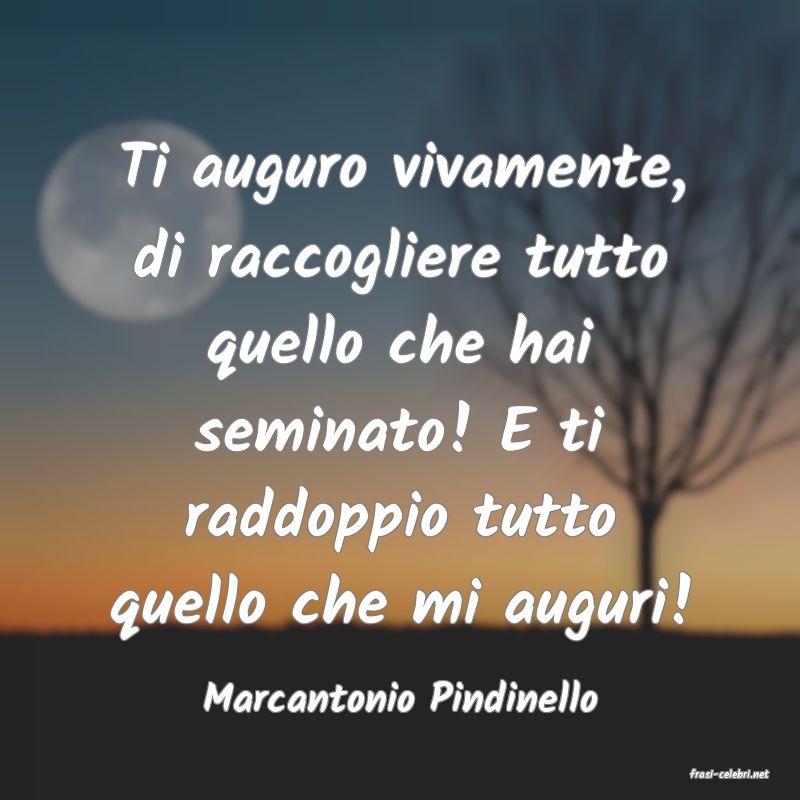 frasi di  Marcantonio Pindinello
