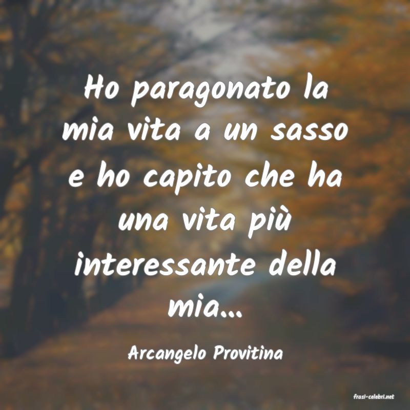 frasi di  Arcangelo Provitina
