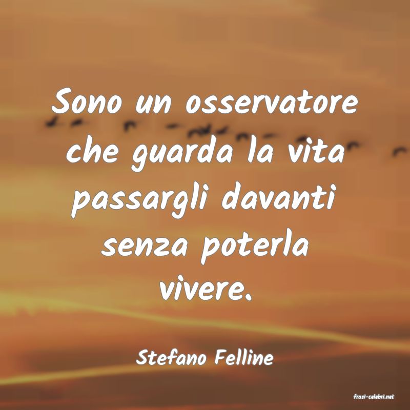 frasi di  Stefano Felline
