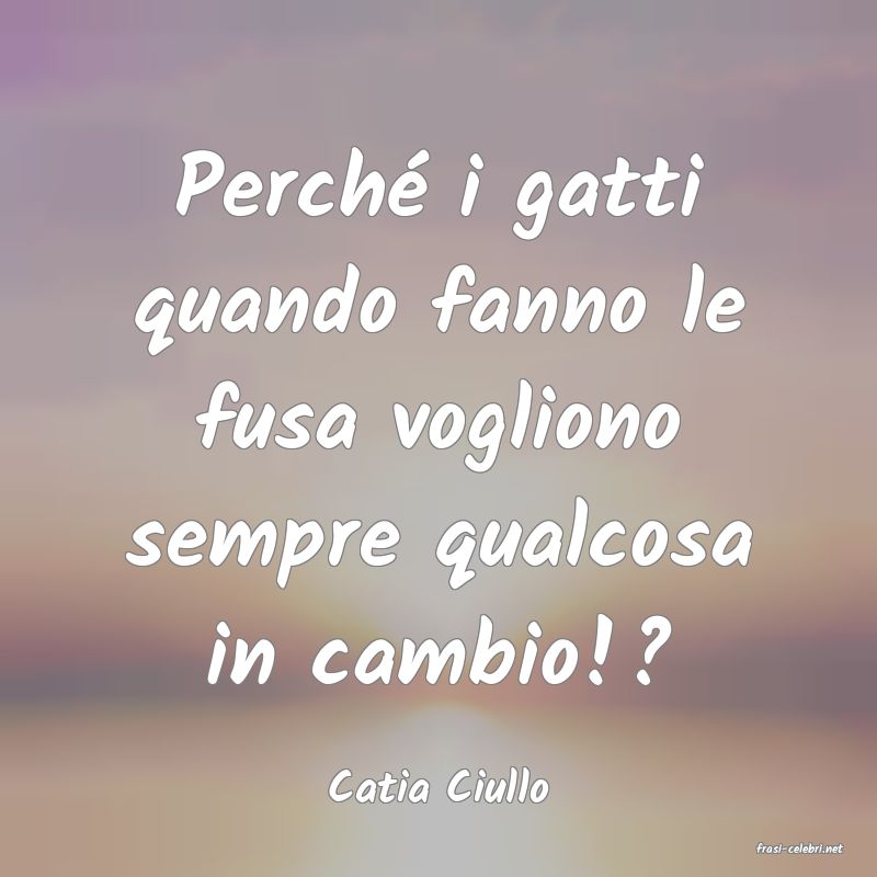 frasi di Catia Ciullo
