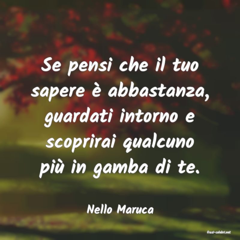 frasi di  Nello Maruca
