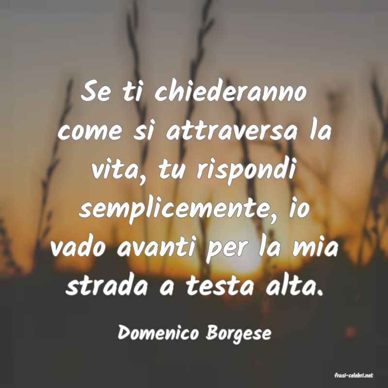 frasi di  Domenico Borgese
