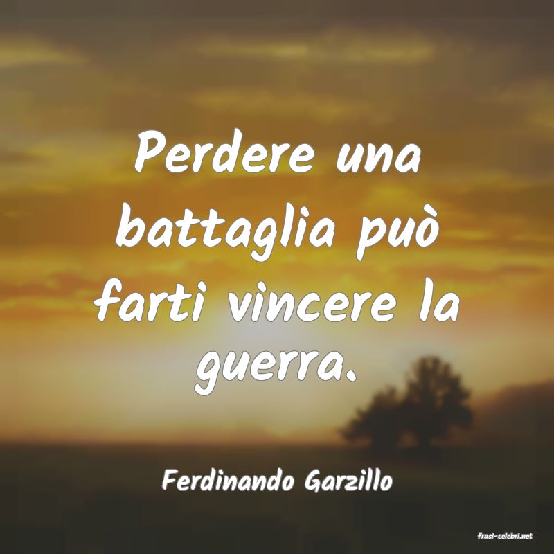 frasi di  Ferdinando Garzillo
