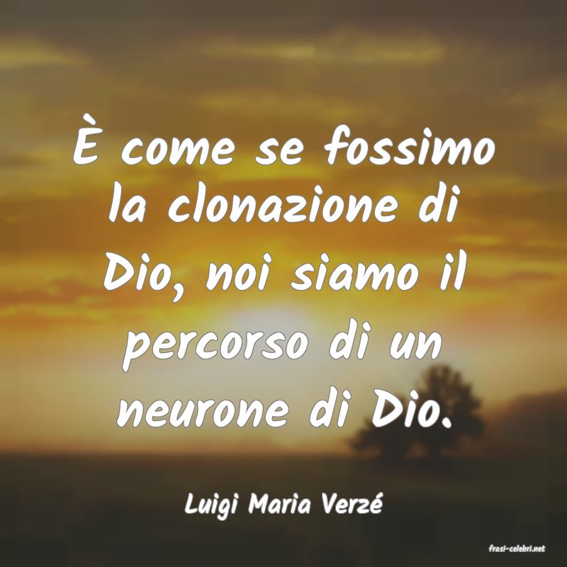 frasi di Luigi Maria Verz