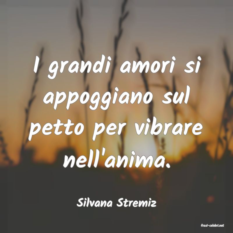 frasi di Silvana Stremiz