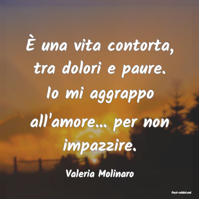 frasi di  Valeria Molinaro
