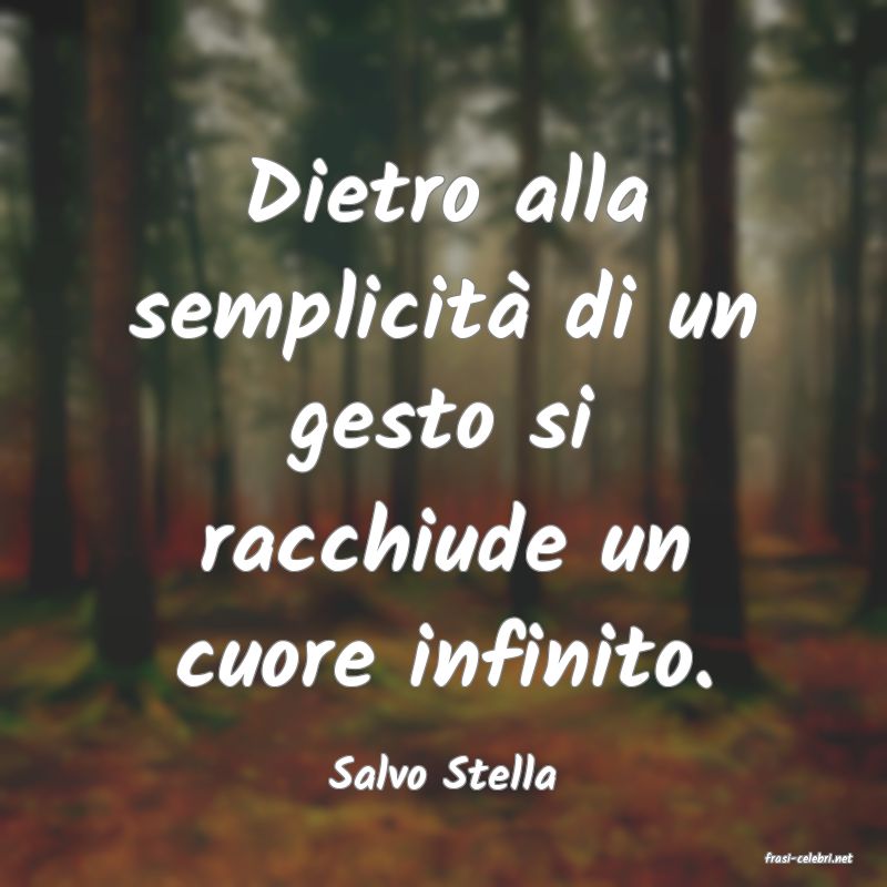 frasi di  Salvo Stella
