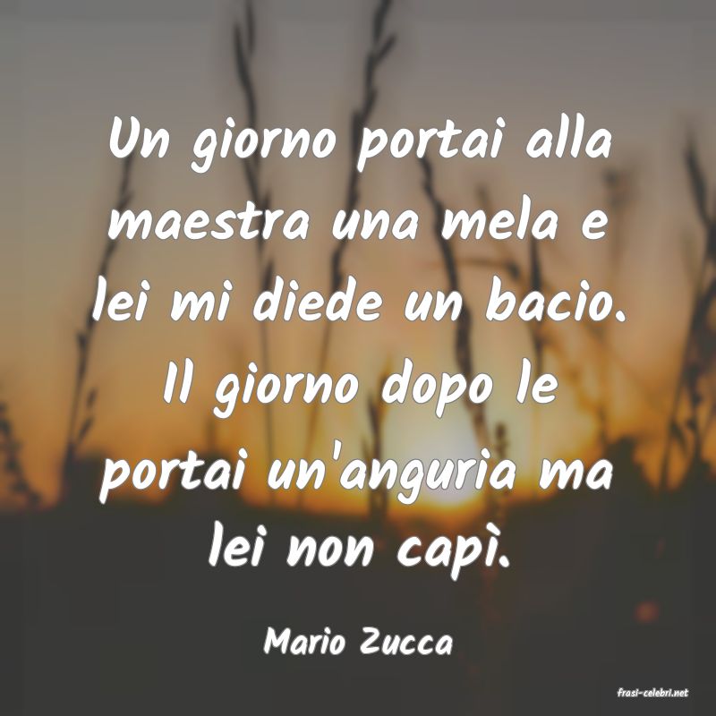 frasi di Mario Zucca