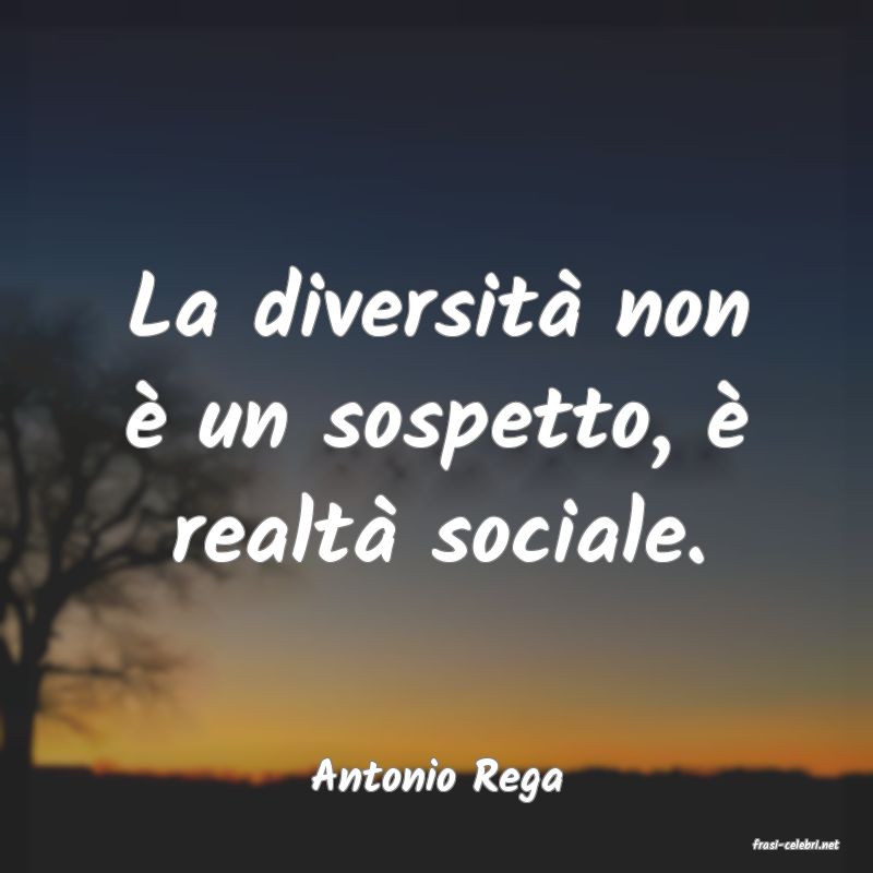 frasi di Antonio Rega