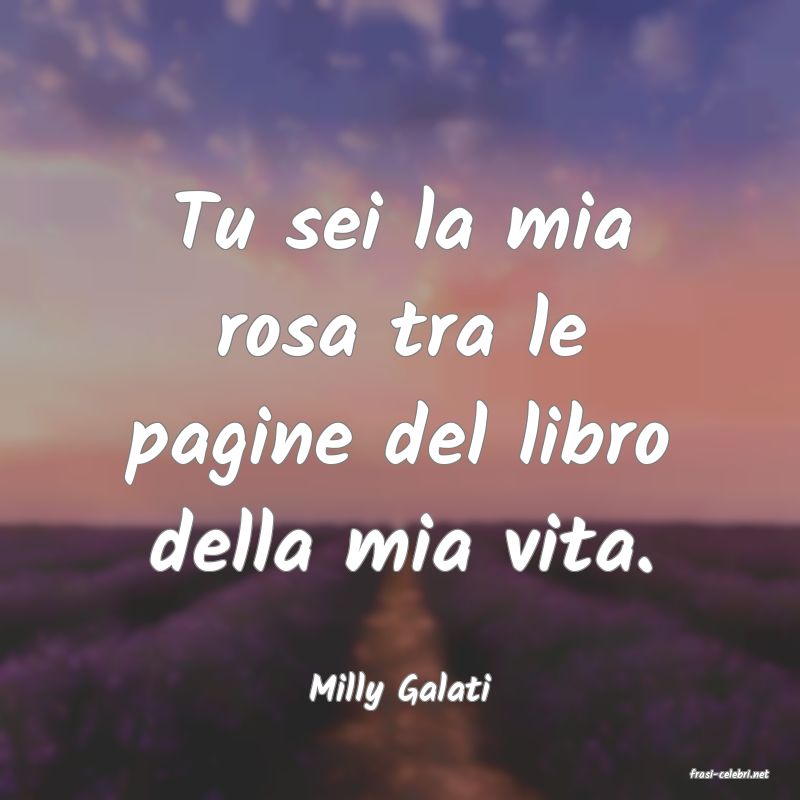 frasi di  Milly Galati
