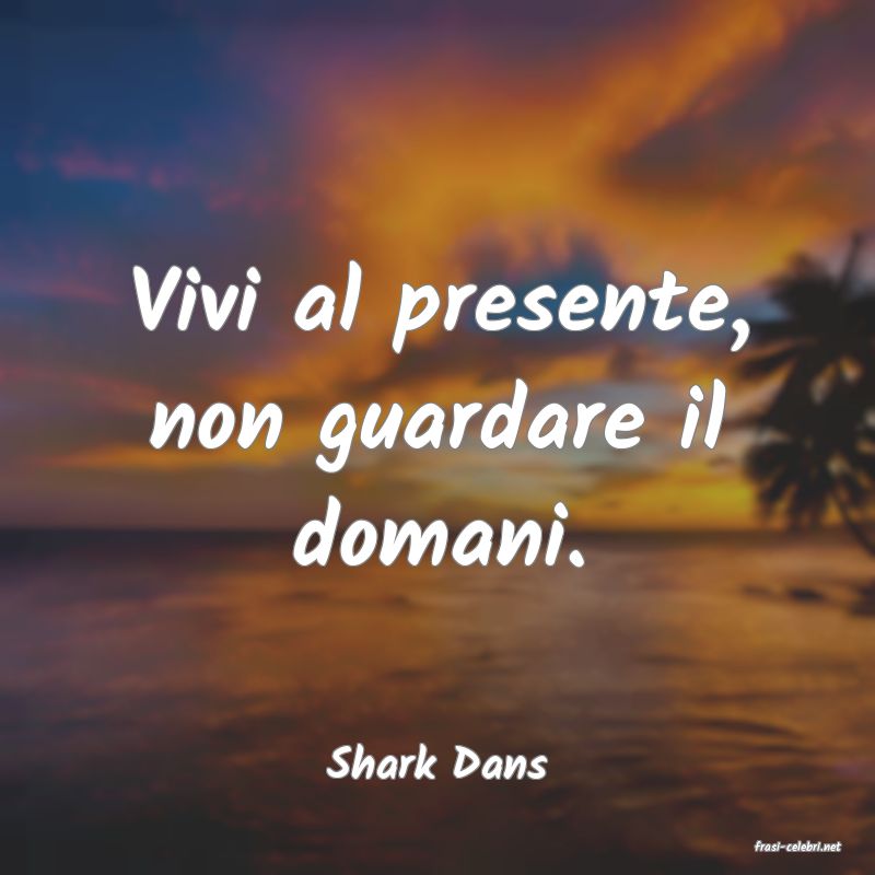 frasi di  Shark Dans
