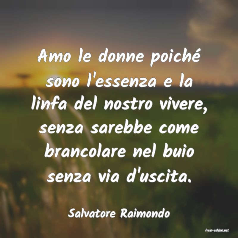 frasi di Salvatore Raimondo