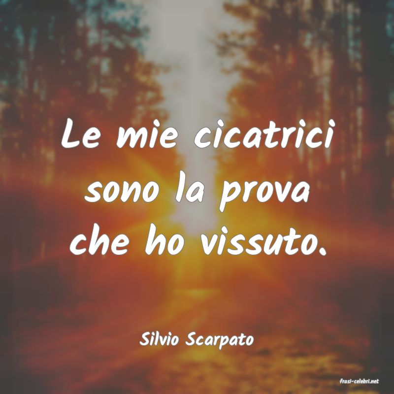 frasi di  Silvio Scarpato
