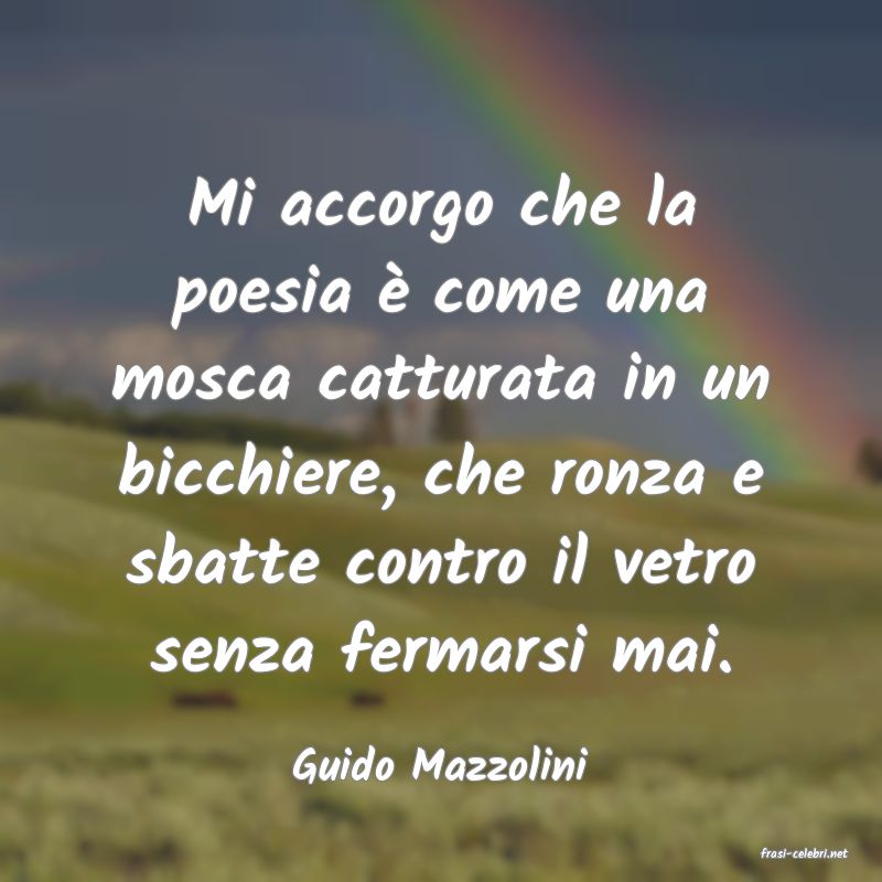 frasi di  Guido Mazzolini
