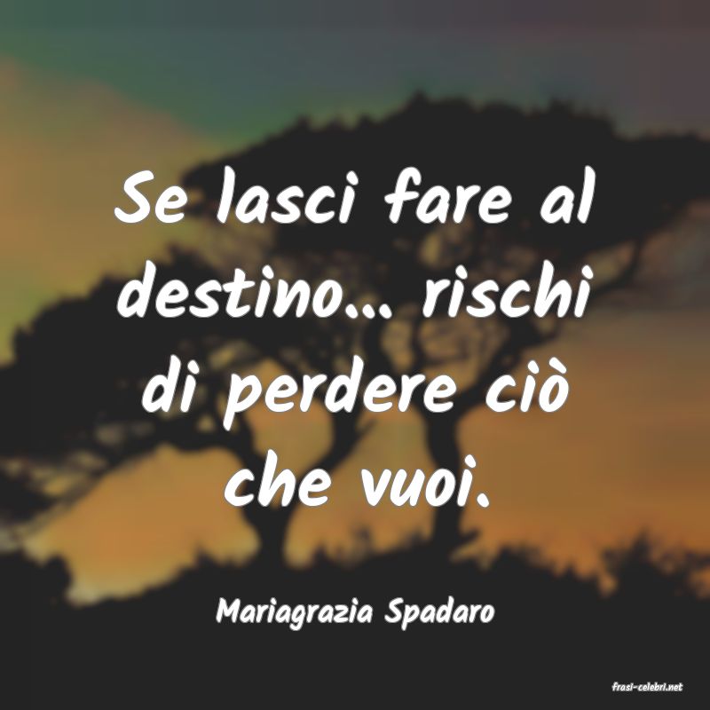 frasi di  Mariagrazia Spadaro
