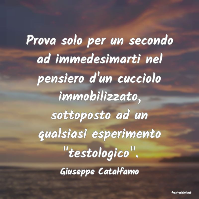 frasi di  Giuseppe Catalfamo
