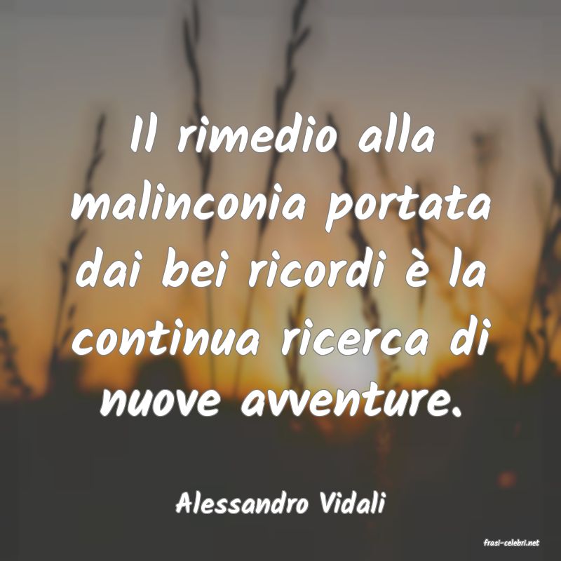 frasi di Alessandro Vidali
