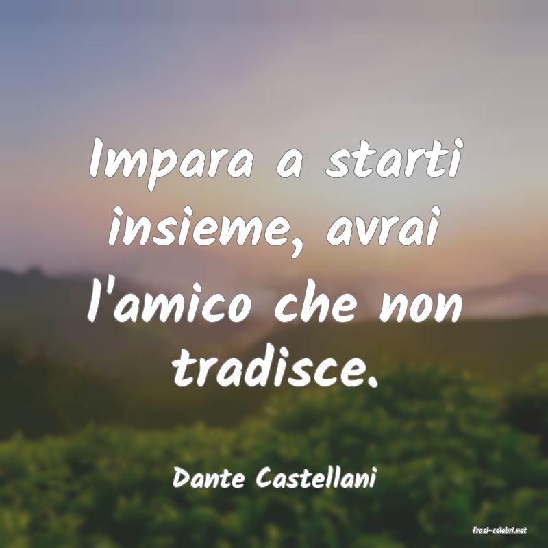 frasi di  Dante Castellani
