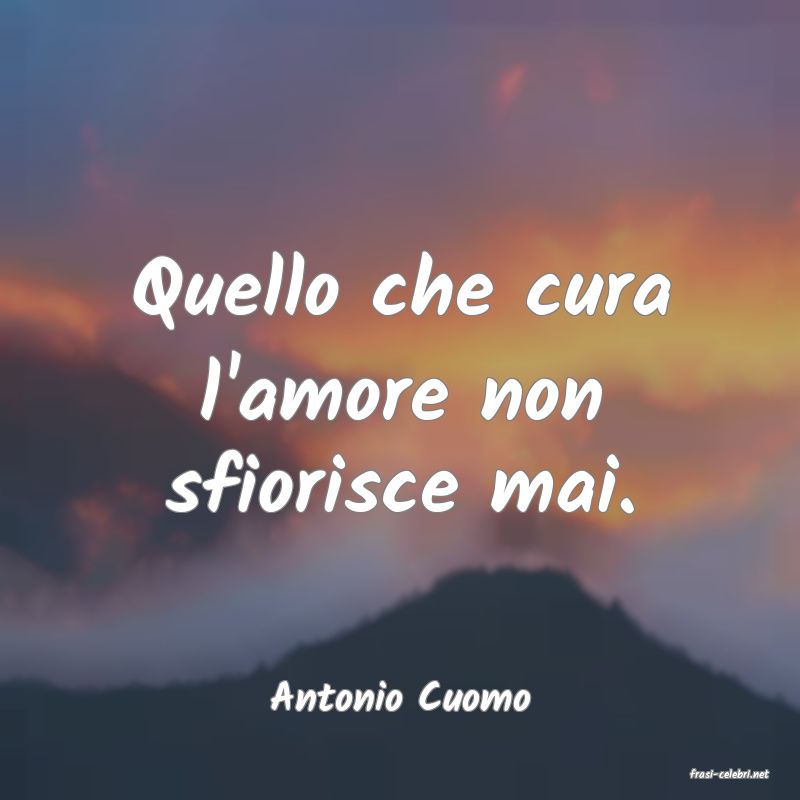 frasi di  Antonio Cuomo

