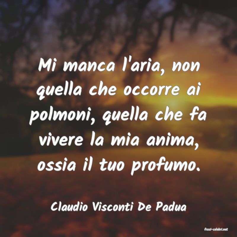 frasi di  Claudio Visconti De Padua
