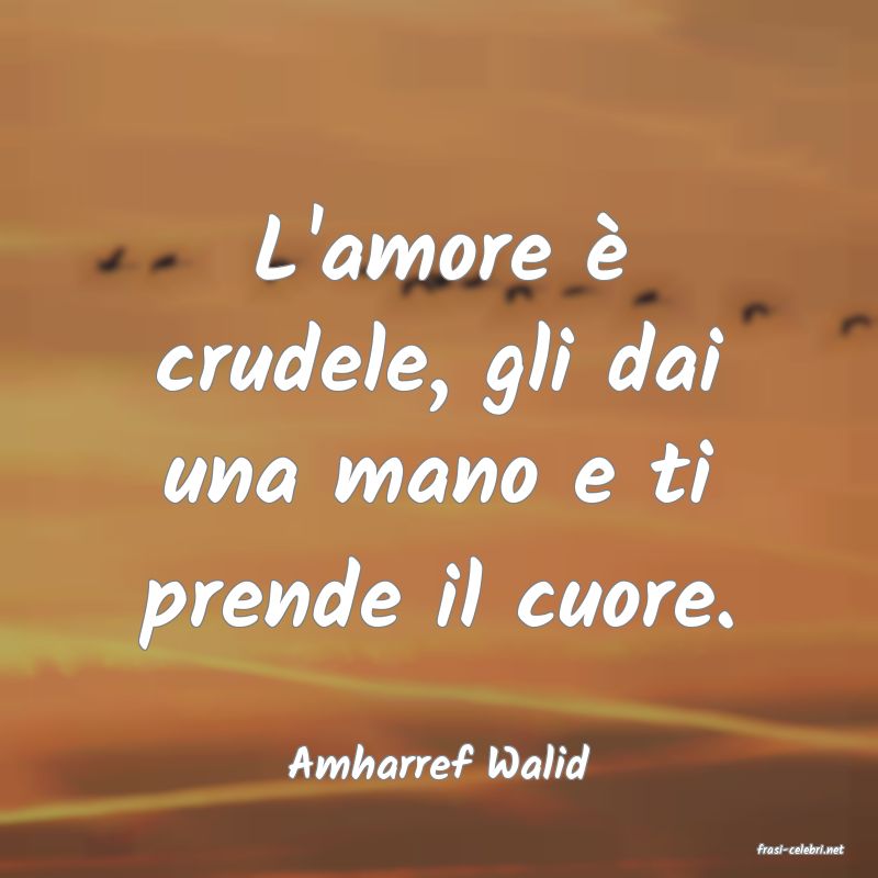 frasi di  Amharref Walid
