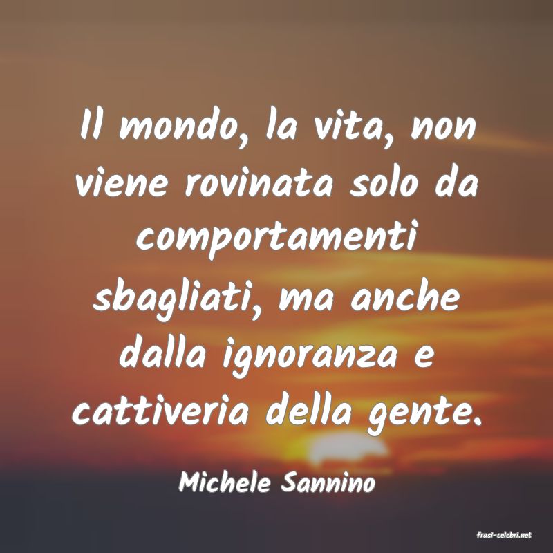 frasi di  Michele Sannino
