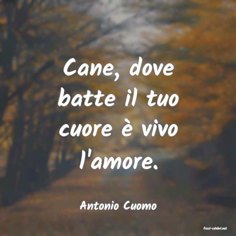 frasi di  Antonio Cuomo
