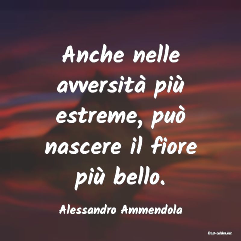 frasi di  Alessandro Ammendola
