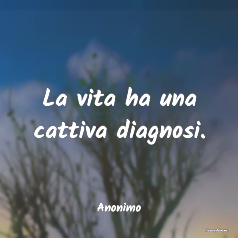 frasi di  Anonimo
