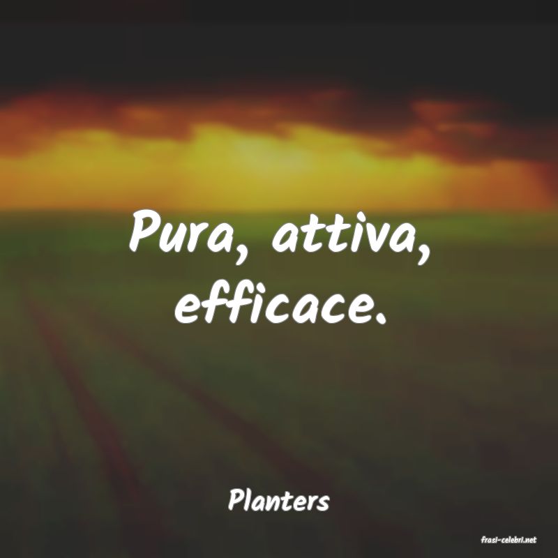 frasi di Planters