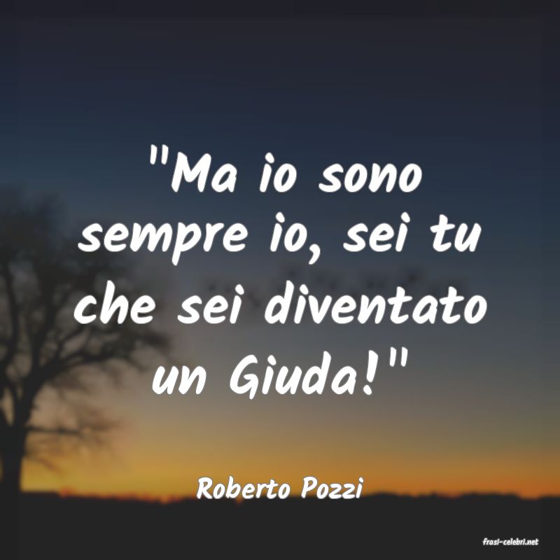 frasi di  Roberto Pozzi
