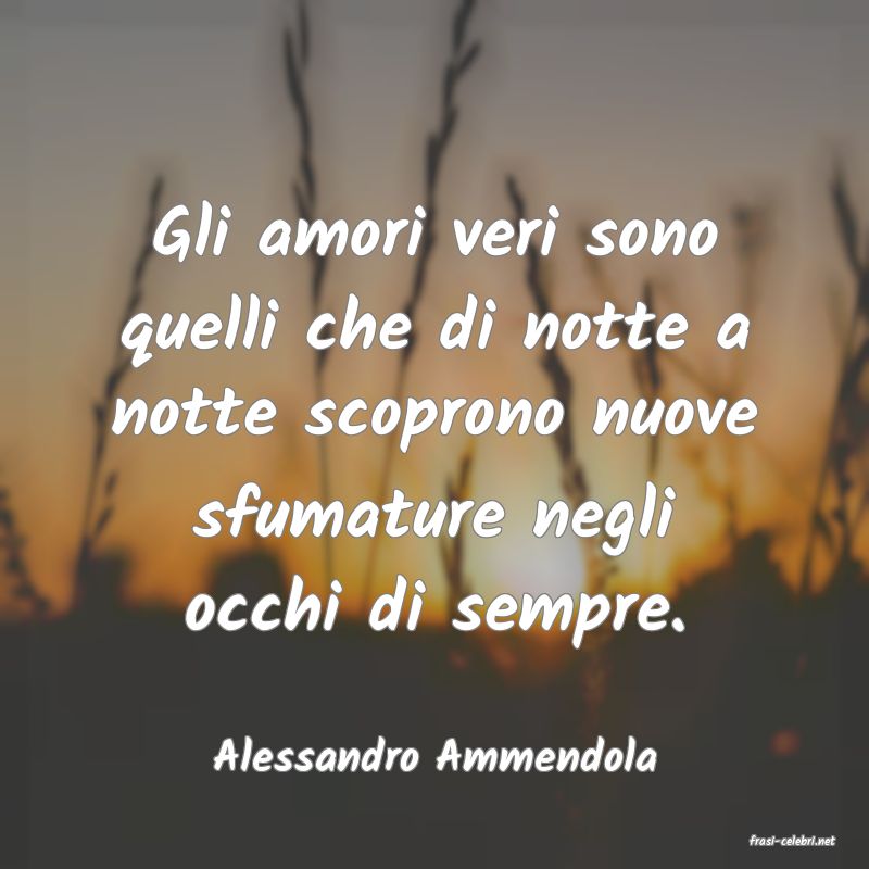 frasi di  Alessandro Ammendola
