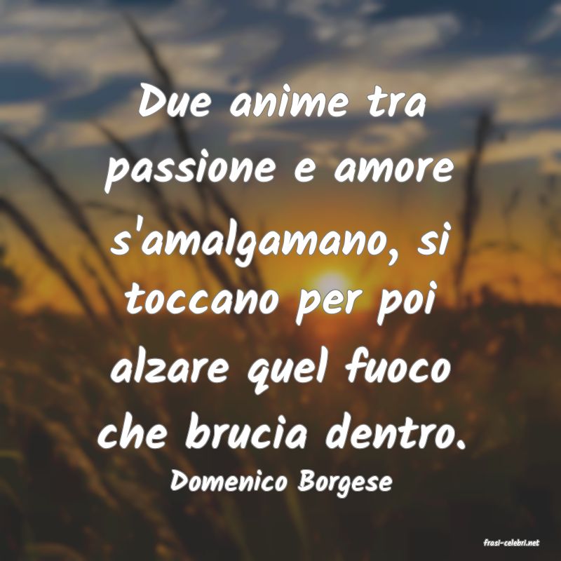 frasi di  Domenico Borgese
