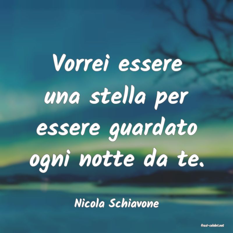 frasi di  Nicola Schiavone
