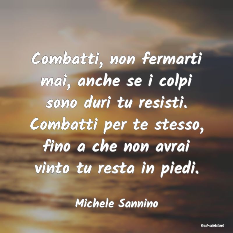 frasi di  Michele Sannino
