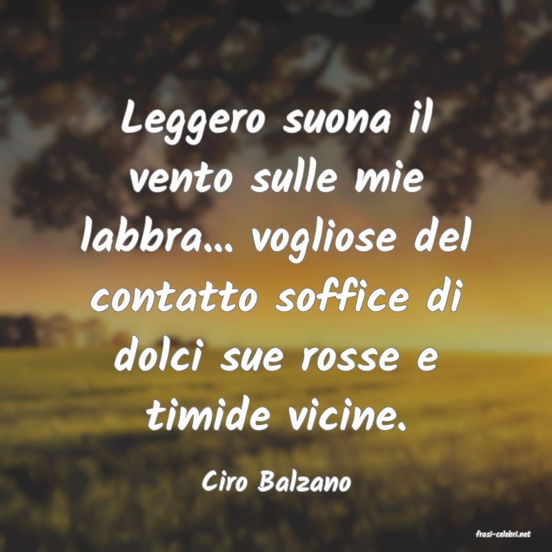 frasi di  Ciro Balzano
