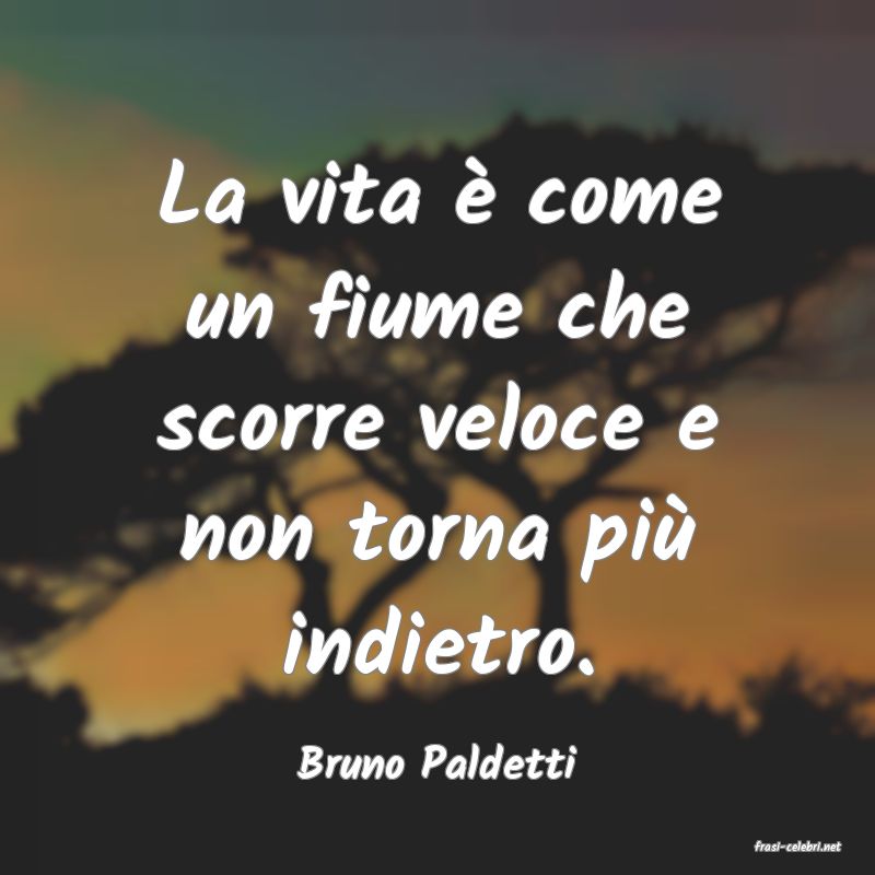frasi di  Bruno Paldetti
