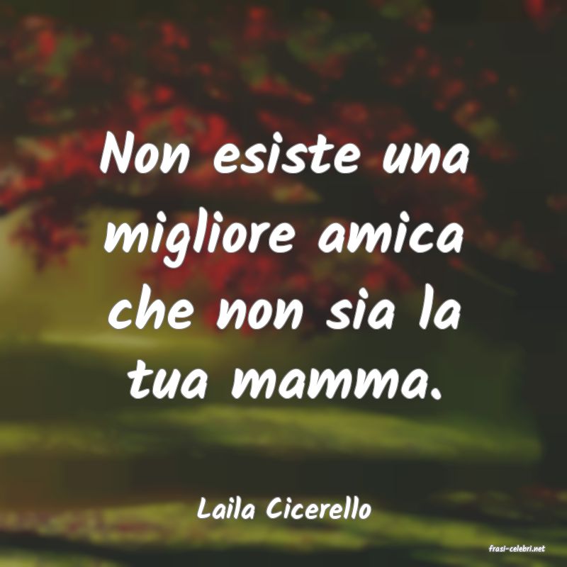 frasi di Laila Cicerello