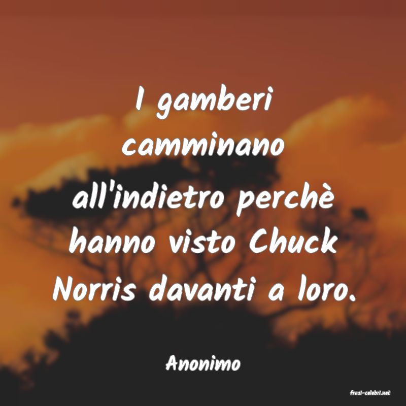 frasi di Anonimo