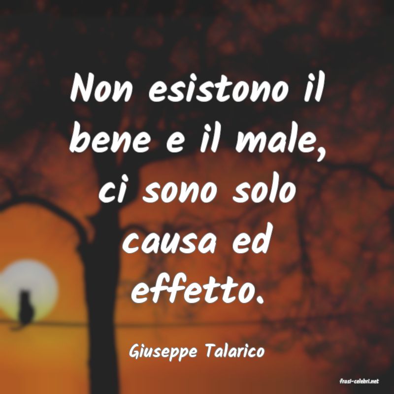 frasi di Giuseppe Talarico