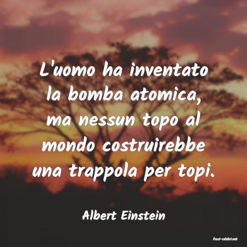 frasi di  Albert Einstein
