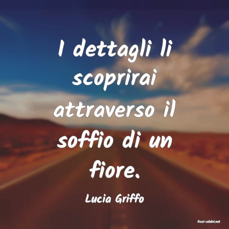 frasi di  Lucia Griffo
